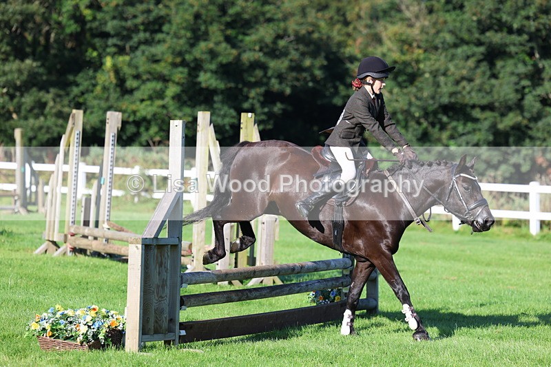 3E7A7488 - Class 1: Novice Working Hunter Pony