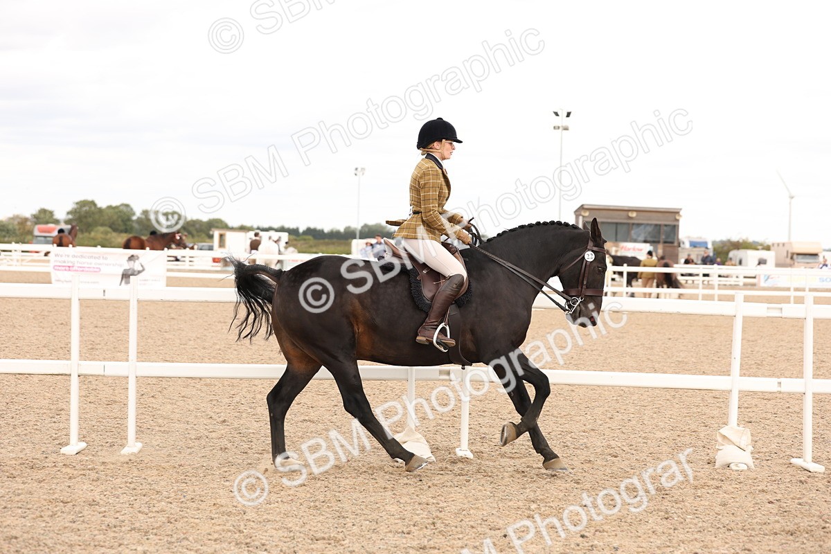 SBM_16485 - Class 212 - Ridden Hunter - Small