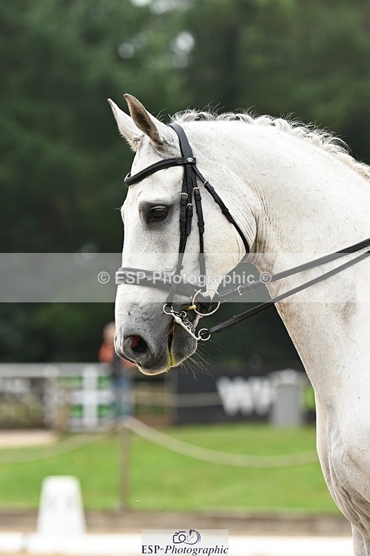 240811-120406-05695 - 135-Beth.Miller-Just.Dave