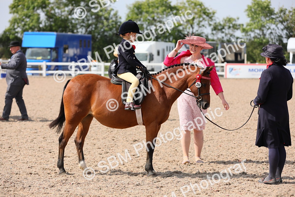 SBM_14045 - Class 309 Lead Rein Pony