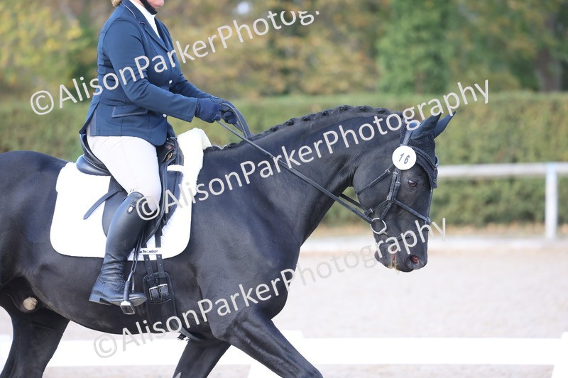 20261010-0597 - Class 5 - Novice 1