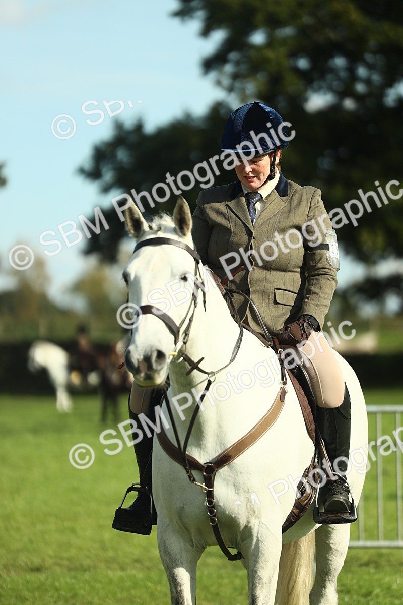 SBM_49818 - S32 - Novice & Newcomers Working Hunter