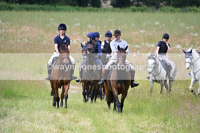 WJ6_7855 - Camera 1 Gallops