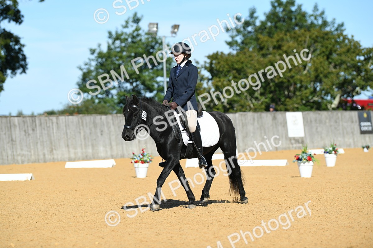 SBM_18181 - D4 - Small Tour Championship - Intro B
