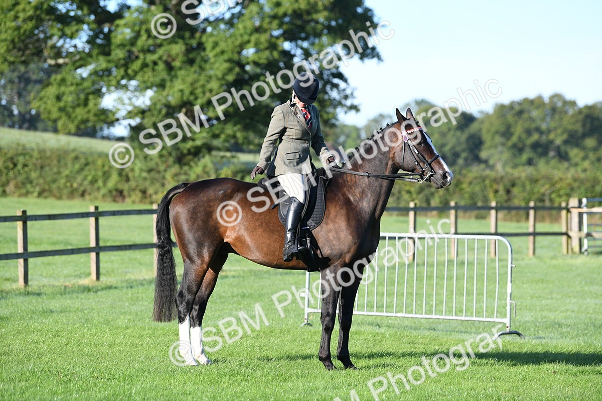 SBM_33988 - S16 - Condition & Turnout - Ridden