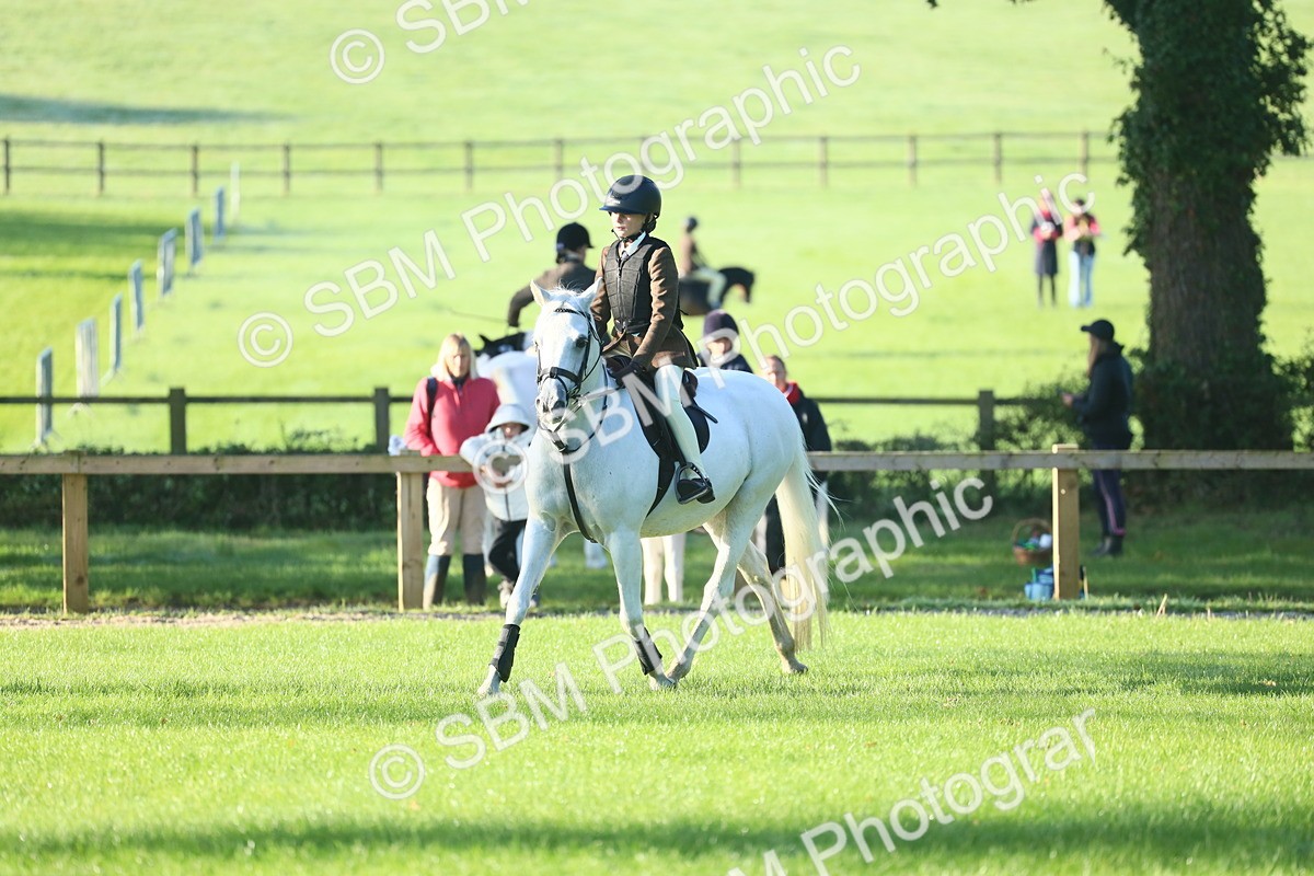 SBM_37372 - S29 - Novice & Newcomers Working Hunter Pony