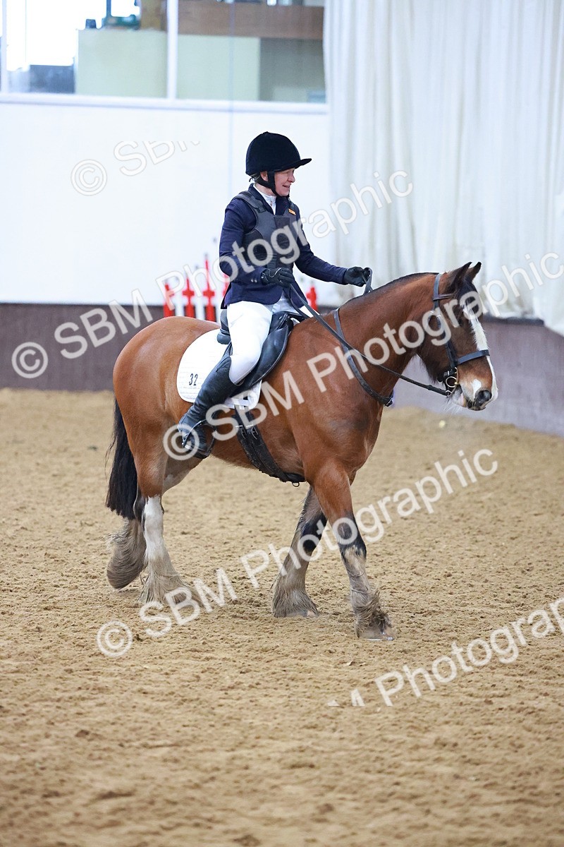 SBM_000387 - Class 19 - 50cm