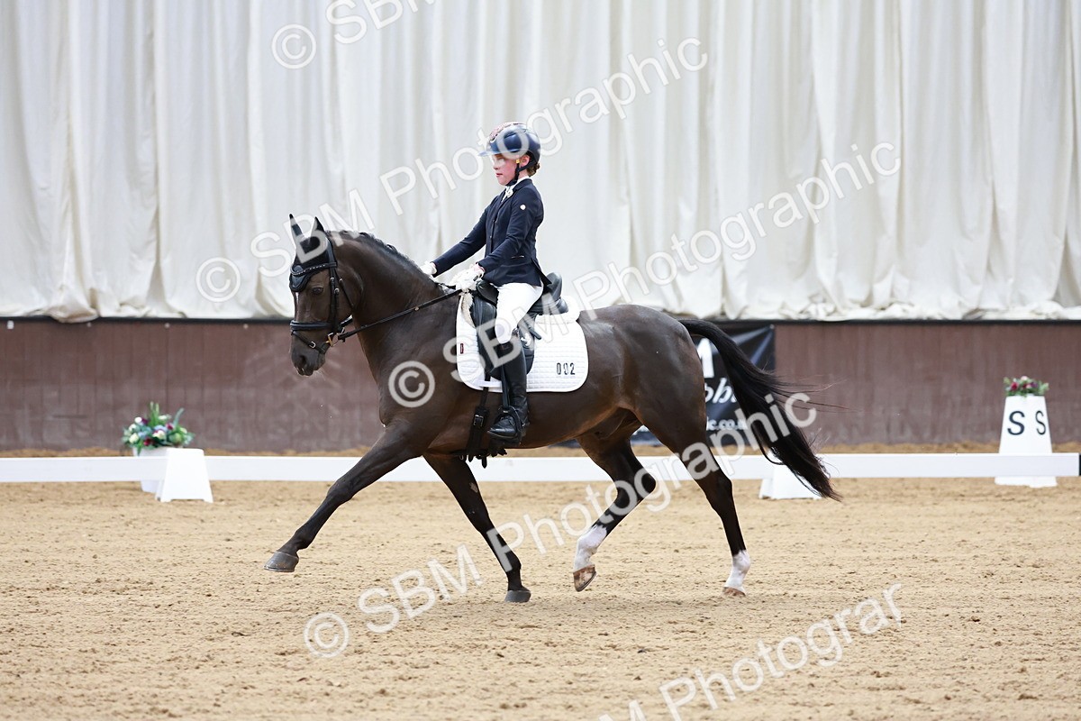 SBM_017108 - Class15 - FEI Pony