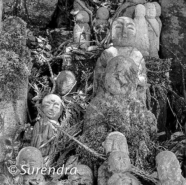 Chokokuji Temple 3 - Jizo on Sado Island