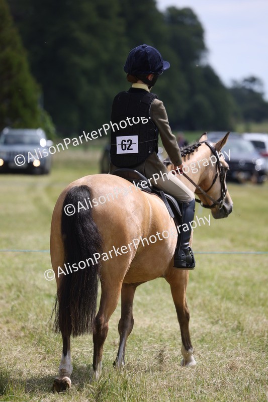 20260614-1791 - Class 21 - Novice Working Hunter Pony
