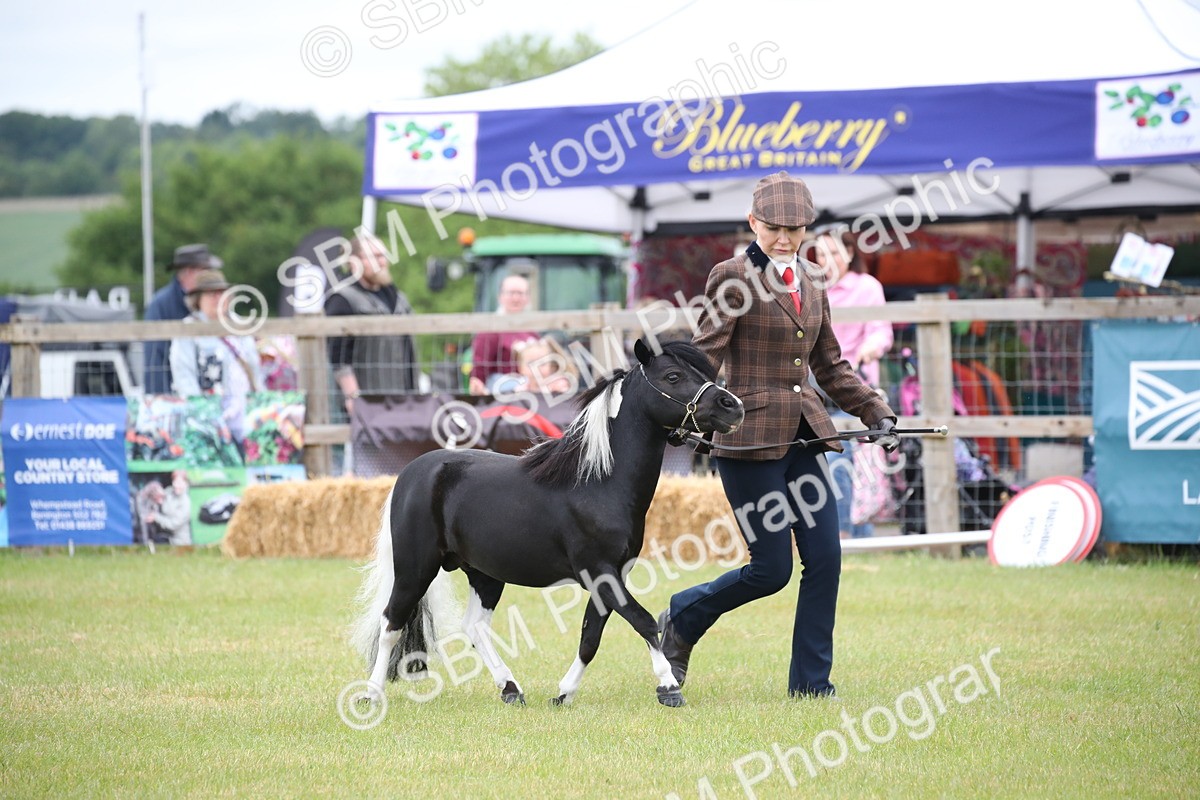 SBM_03717 - Class 23-25 - British Miniature Horse of the Year