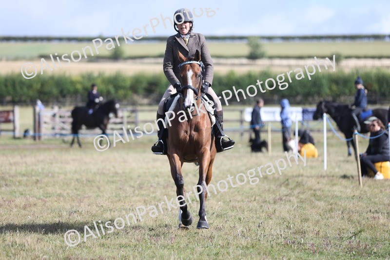 20250831-0926 - Class 14 - Ex Racehorse