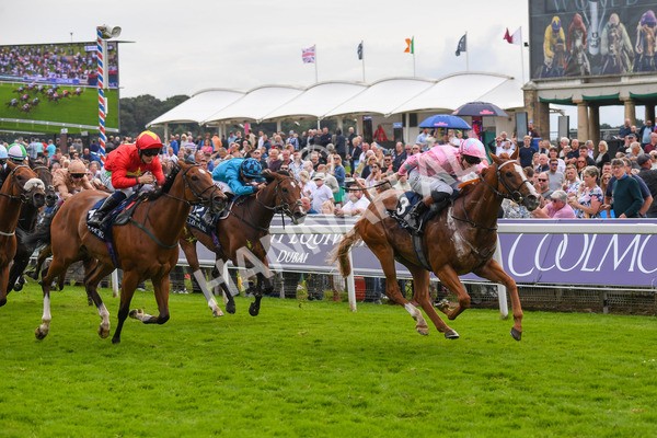 250823-Race 4-Live In The Dream-0673 - Race 4 3.35pm Coolmore Wootton Bassett Nunthorpe Stakes