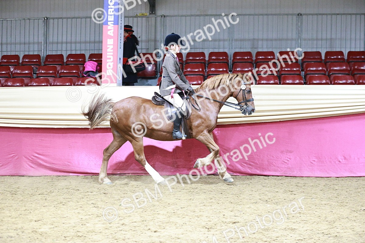 SBM_07307 - Class 10R - Regional Ridden Diamond