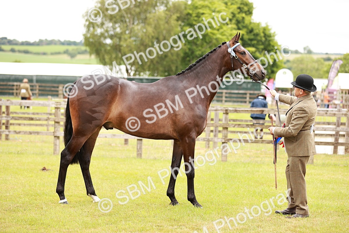 SBM_04788 - Class 35-38 Riding Horse Breeding