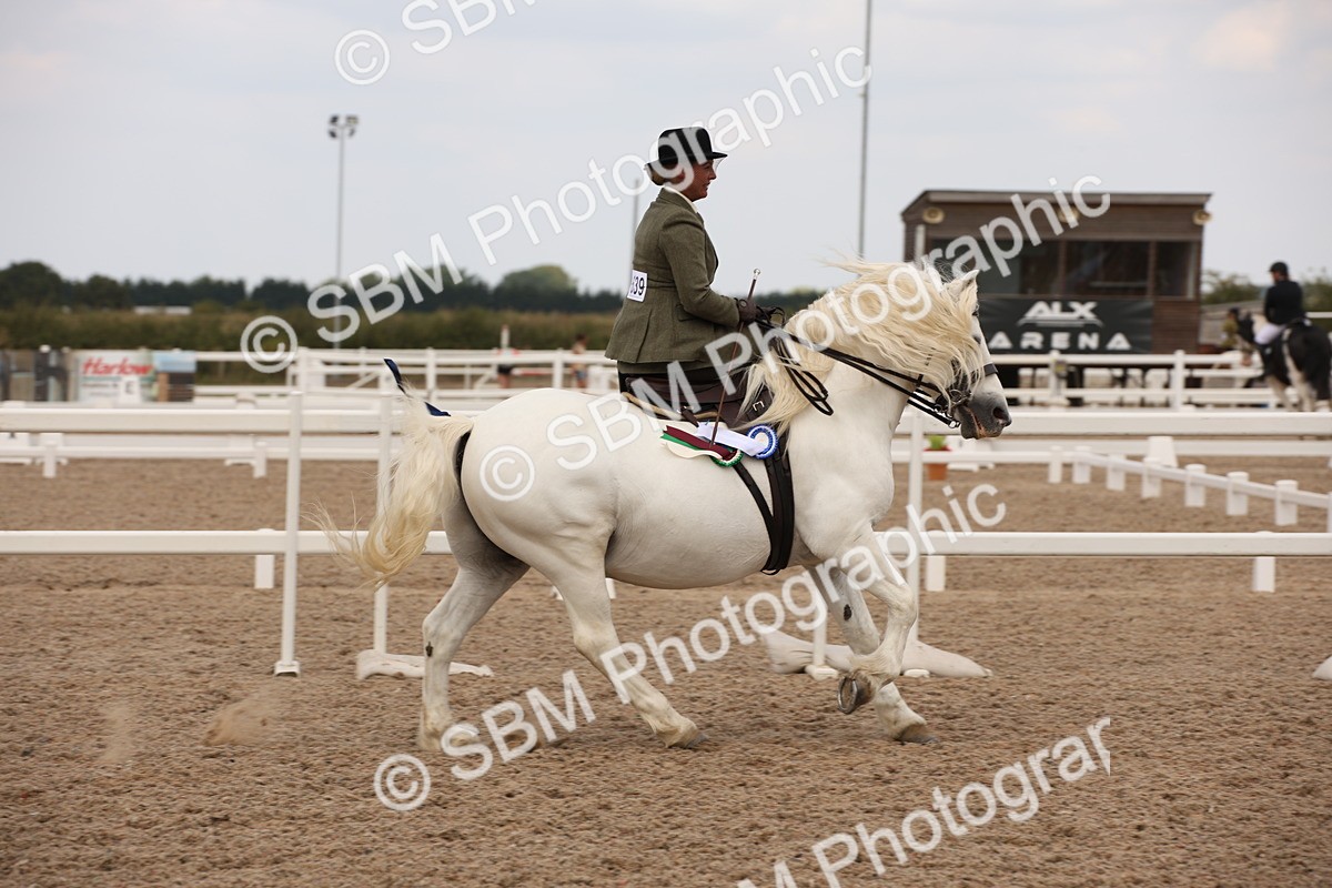 SBM_05535 - Class 22 SSA Equitation