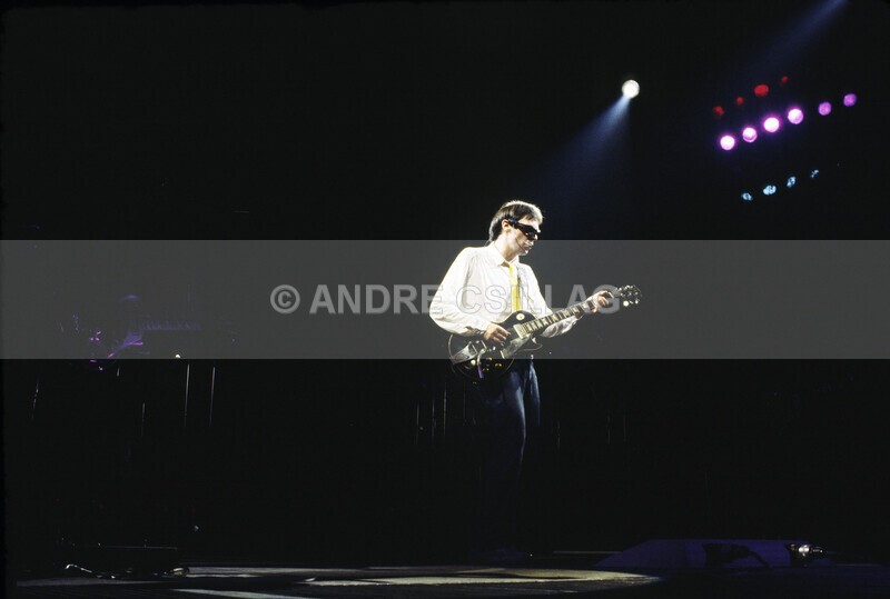 NEIL YOUNG - Y..