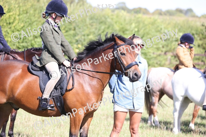 20260906-2198 - Class 16 - Family Pony