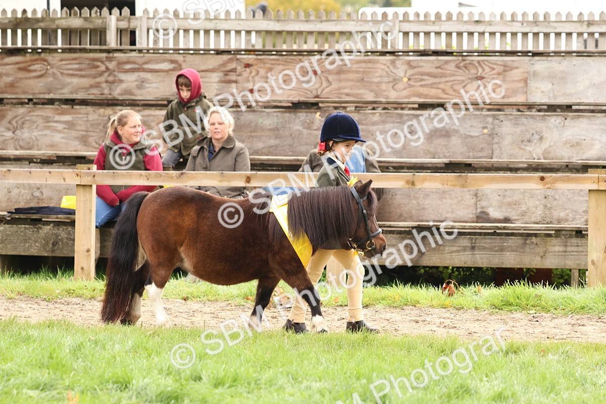SBM_59754 - Start Supreme Championship