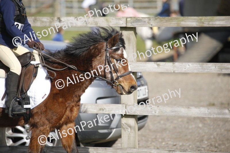 20250412-0219 - Show Jumping