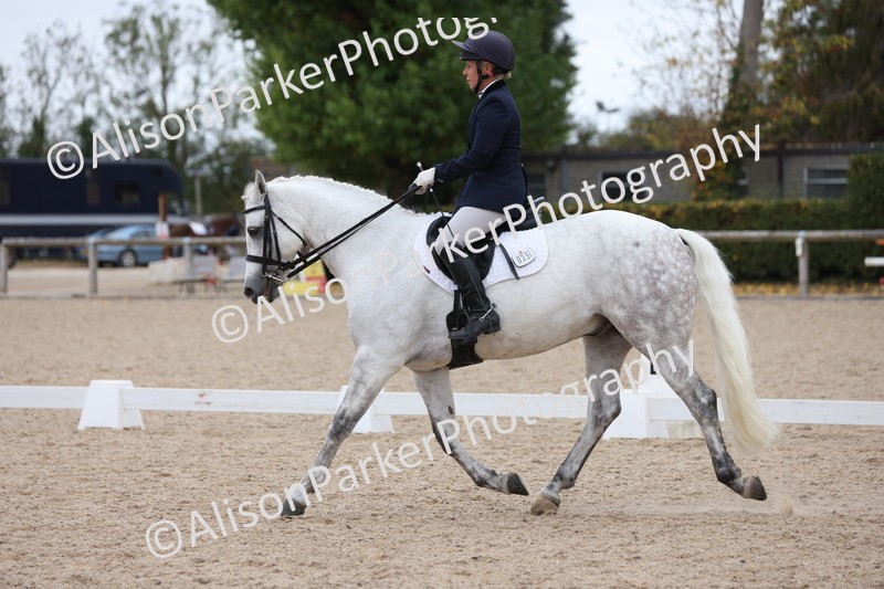 20250820-1149 - Class 17 - Elementary 4