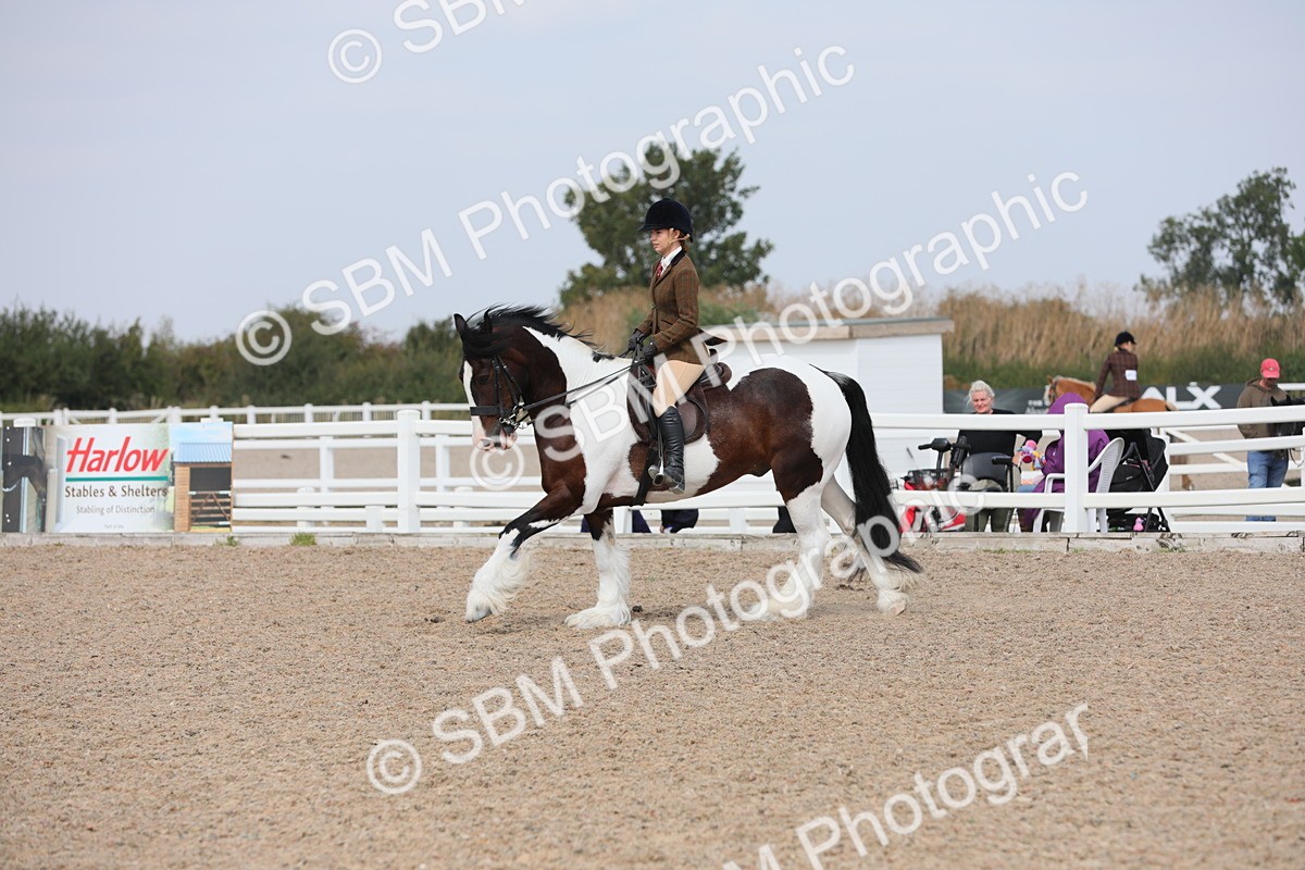 SBM_13439 - Class 308 Ridden Coloured Horse