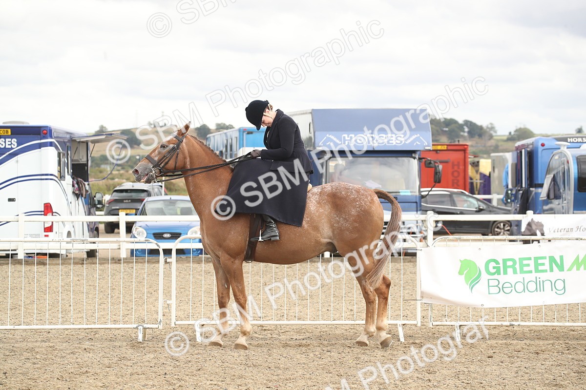 SBM_17663 - Class 508a - Working Veteran 70cm (15-19)