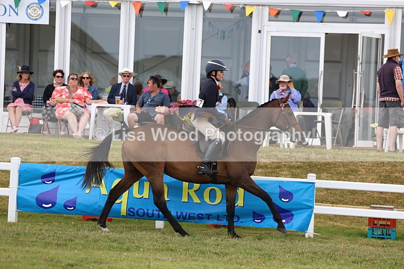 3E7A2398 - Class 11: Retraining of Racehorse