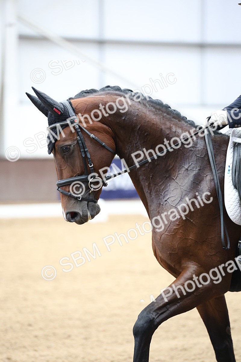 SBM_003993 - Class 8 - Advanced Medium 6 Silver