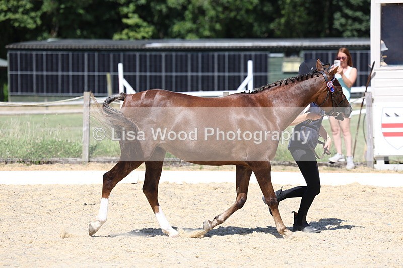 3E7A9578 - Class 32: Best Grass Kept