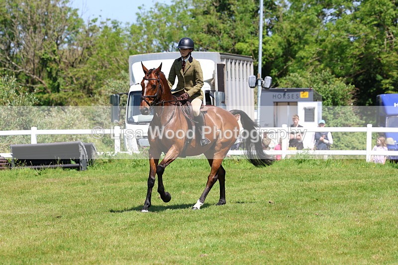 3E7A7242 - Class 30: Novice Working Hunter