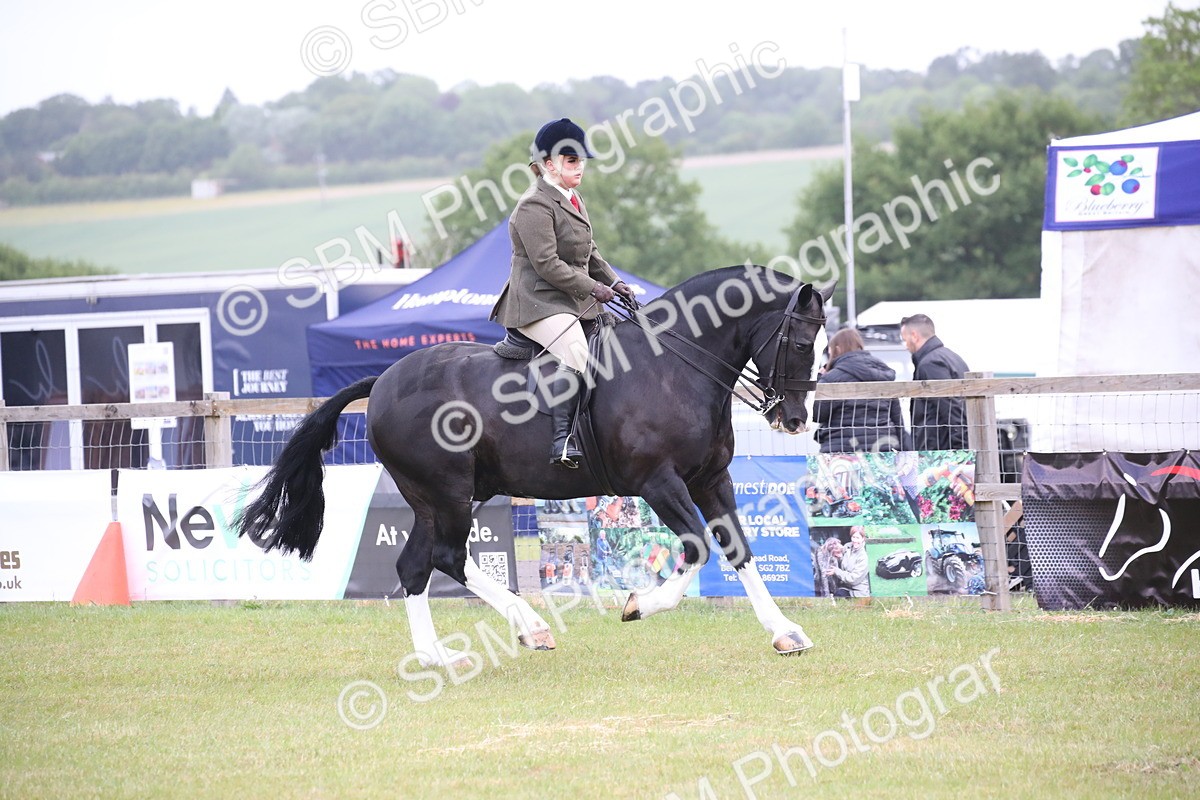 SBM_11057 - Class 92-93 - LIHS BSHA Rising Star Cobs