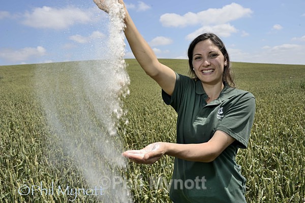 Photographer Cambridge UK Professional National Trust Home Farm Wimpole public relations photographer