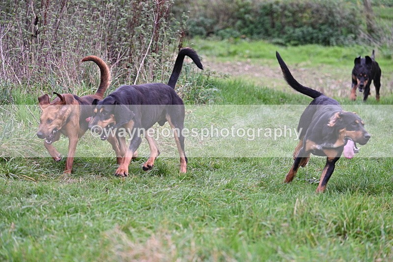 WJ7_8901 - Camera 1 only on this line