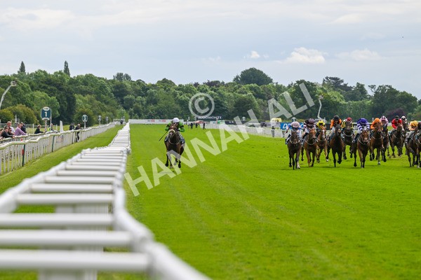 140624-Race 1-Tolstoy-3686 - Race 1 1.50pm Andy Thornton Hospitality Furniture Apprentice Handicap