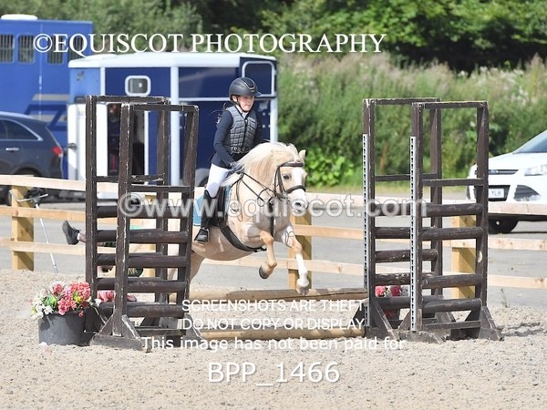 BPP_1466 - DERBY CLASS 3 - 40CM