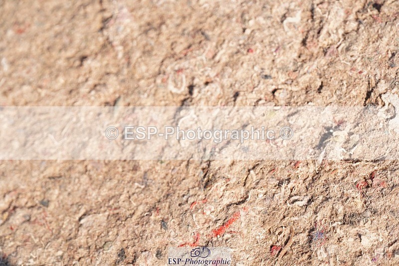 250510-090006-09681 - Cls 13 Snr Foxhunter