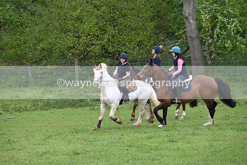 WJ6_3141 - A camera