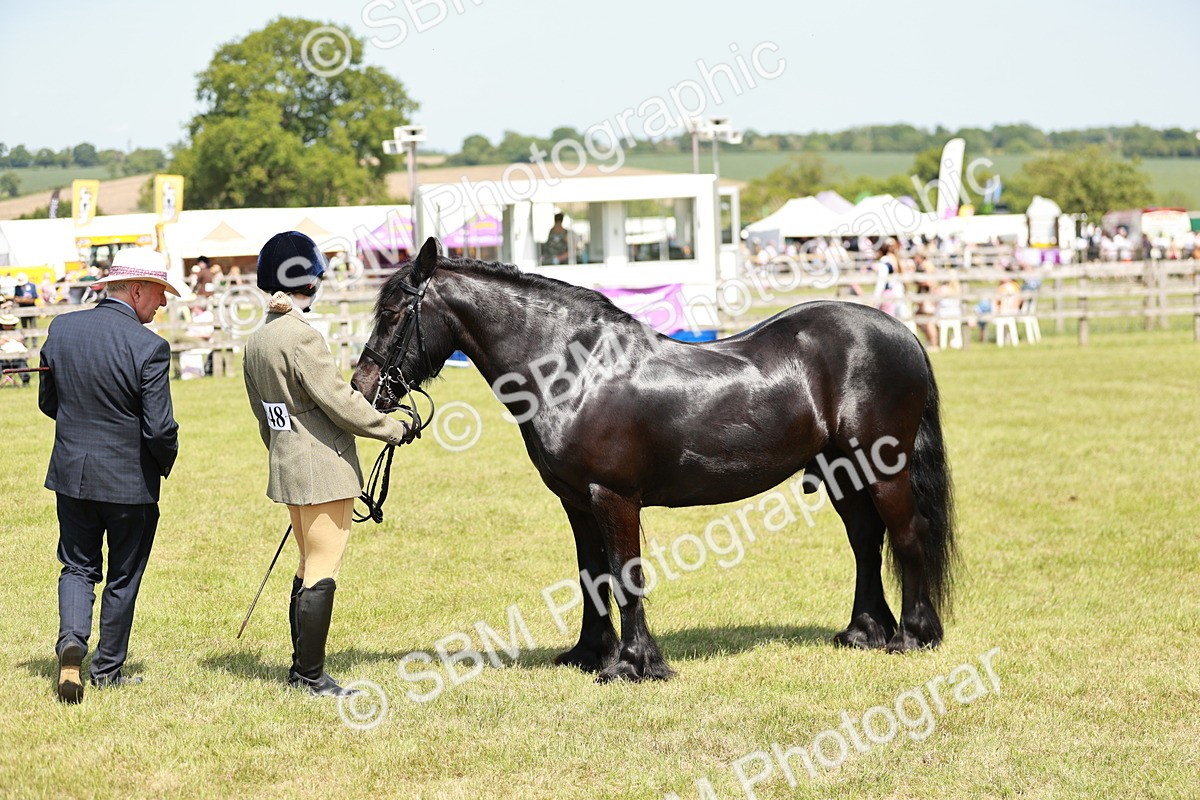 SBM_07180 - Class 26-30 - Mountain and Moorland Ridden