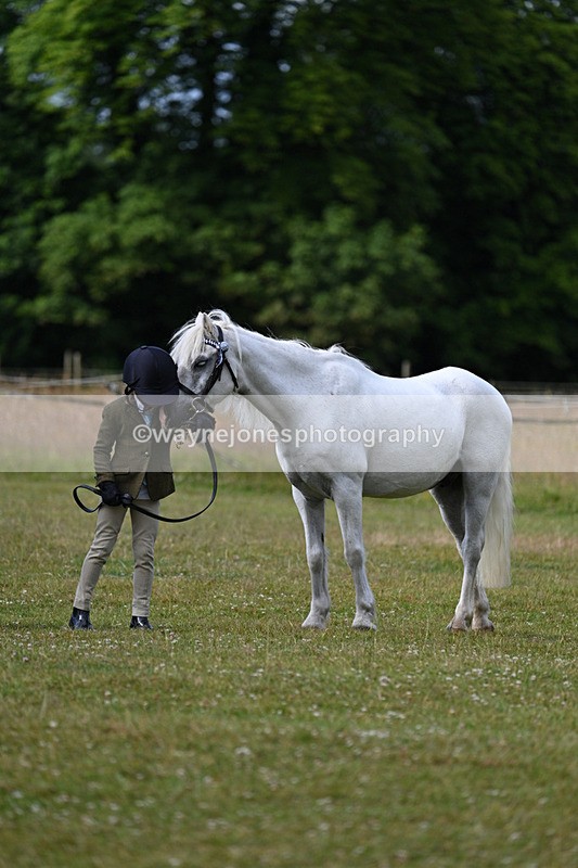 WJ7_4537 - Class 1 Lead Rein Pony