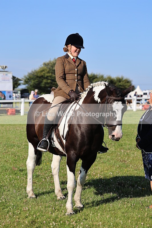 IMG_1386 - Class 28: Ridden Plaited Coloured Pony