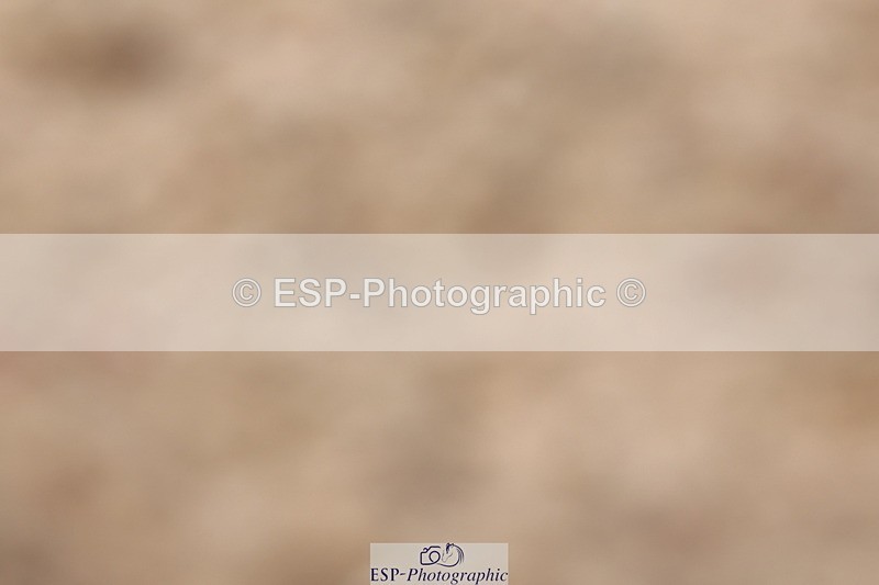 240622A-143720-13548 - Cls 33 BD Medium 73