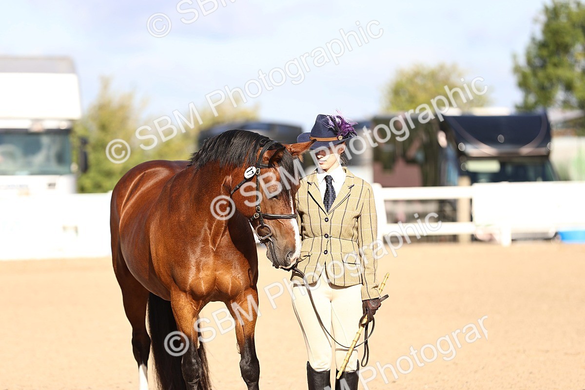 SBM_08529 - Class 402 - IH Veteran Pony