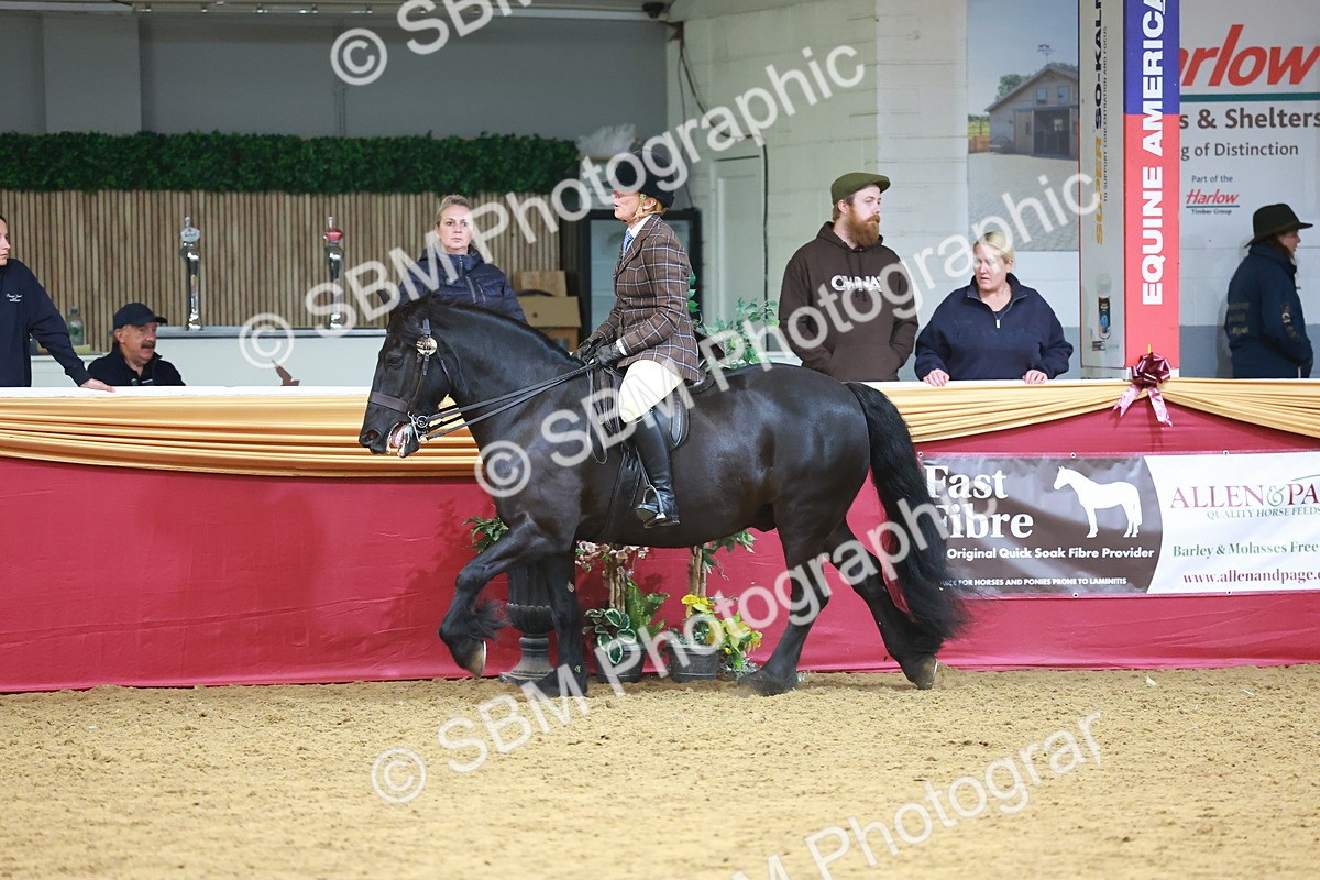 SBM_06239 - Class 12R - Ridden Pre-Vet