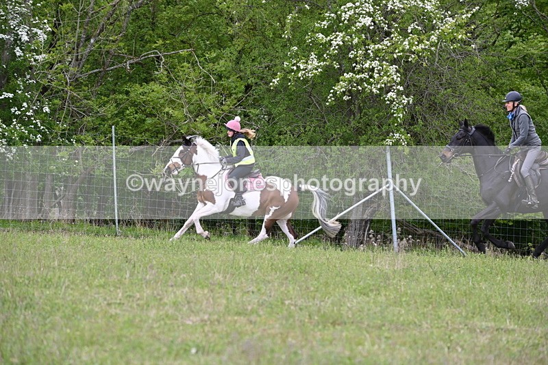 WJ6_1909 - Group 8 A&B Cameras