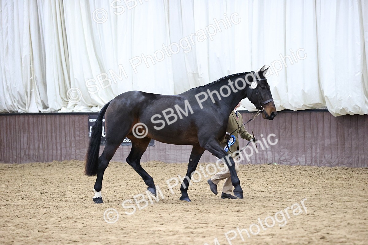 SBM_5705 - Class 40 - RESS In Hand Qualifier