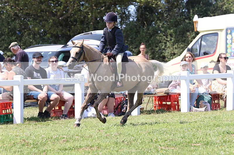 JPP_2318 - Class 20: Tiny Tots Working Hunter Pony