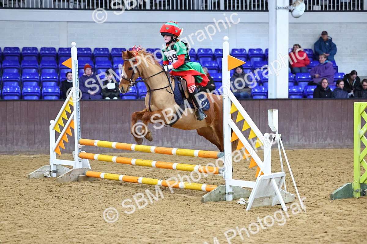 SBM_001455 - Class 3 - Christmas Tree Stakes - 60cm