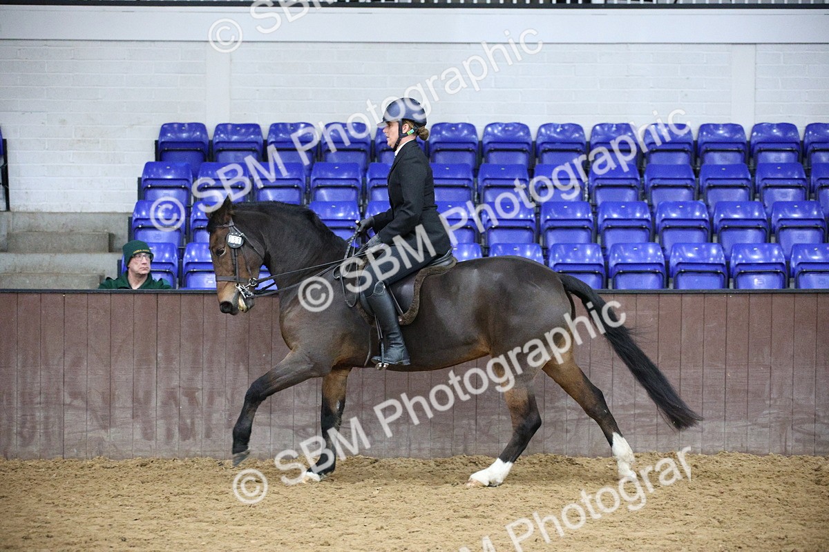 5K7A6083 - Class 48 - Ridden Mare