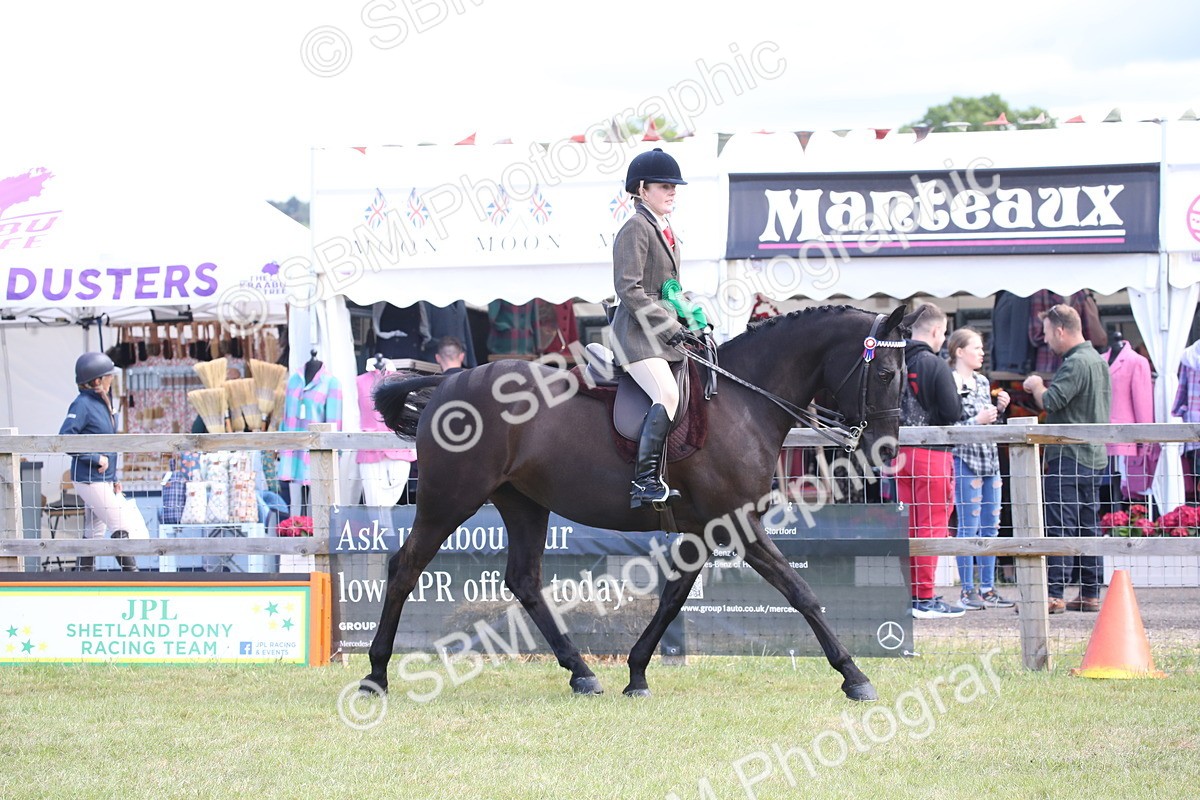 SBM_13294 - Class 95-96 - LIHS BSHA Rising Star Hack Riding Horse
